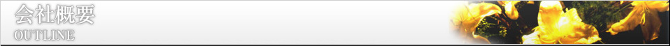会社概要