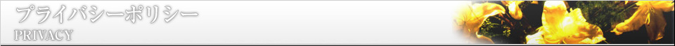 プライバシーポリシー