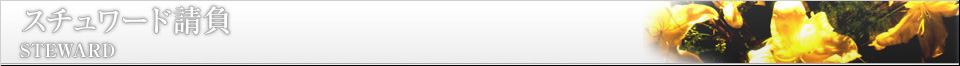 スチュワード請負