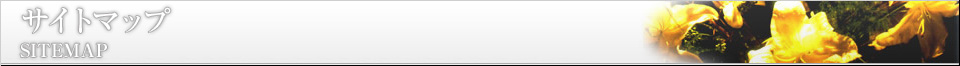 サイトマップ